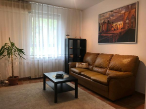 Floreasca Ambient by ACME RENT